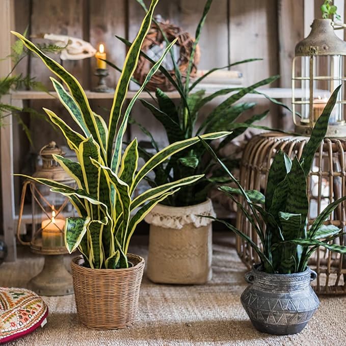 Artificial Plants Sansevieria Snake Plant with Black Plastic Planter Greenery Perfect Faux Agave Fake Plants in Pot for Home Office Indoor and Outdoo Décor (22" Green)