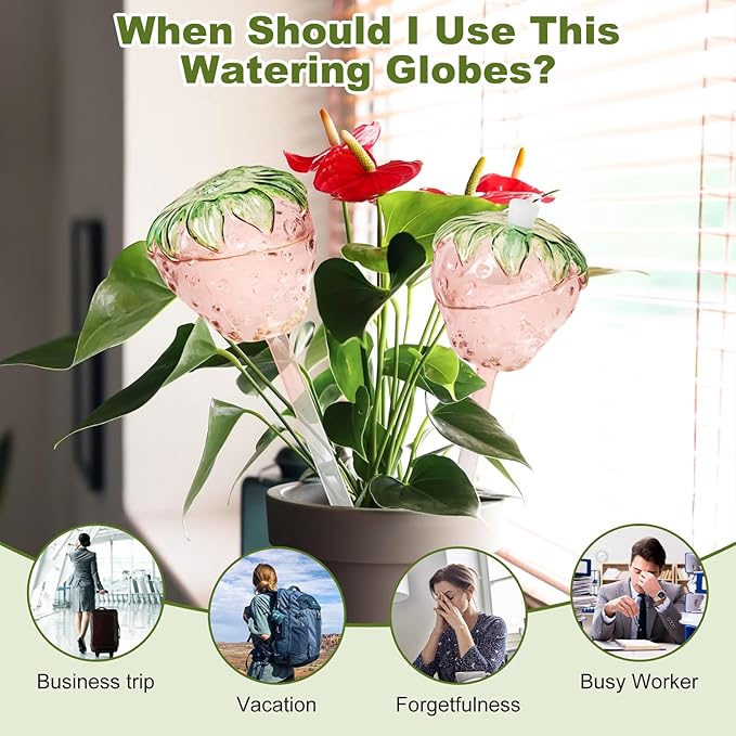 Strawberry Plant Watering Globes Set of 2, Large Water Globes for Indoor Plants, Glass Self Watering Planter Insert, Top-Fill Watering Bulbs for Indoor Outdoor Plants