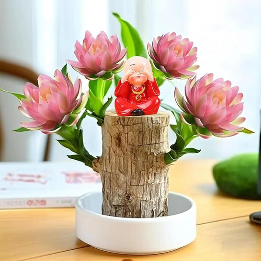 Brazilian Lucky Wood Kit with Monk, Grow Your Own Luck,Easy to Maintain Mini Brazil Woods for Indoor/Outdoor, Bedroom, Kitchen, Office Desk, Garden and Other Decorations (C)