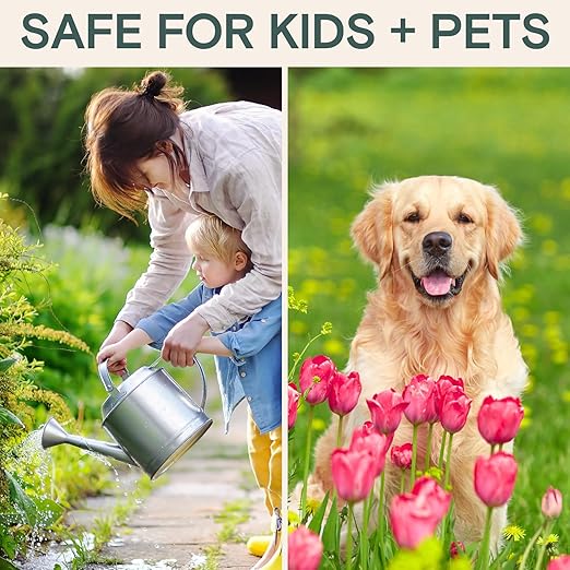 Organic Protectant – Liquid Fertilizer & Plant Food for Houseplants, Indoor & Outdoor Use – Instant Nourishment for Potted Plants, Flowers, Vegetables, Herbs, Air Plants, and Tropical Plants