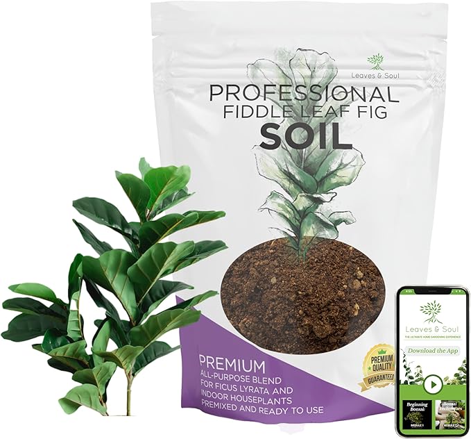 Fiddle Leaf Fig House Plant Soil Premium All Purpose Blend | Large 2.2 Quarts | Ready to Use for Indoor Houseplants | Peat, Sawdust, Course Sand and Pinebark | Made in USA