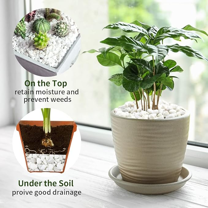 2 lbs White River Rocks for Plants, 3/8 Inch Gravel Pebbles for Plants. Decorative White Stones for Succulents, Cactus, Vase and Outdoor Garden Landscaping