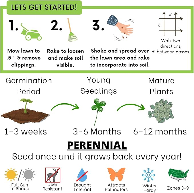 Flawn Seed Kits 1 Lb Micro Clover Seed, Organic Coated, Eco-Friendly, Low Growing, Low Maintenance, Lawn Alternative, Kraft Zipper Pouch, Covers up to 3,600 Sqft