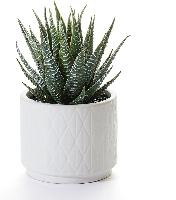 Kurrajong Farmhouse Artificial Succulent Plant in Matte White Ceramic Pot | Dark Green Aloe Plant | Great as Desk Decor or Bathroom Decor | Beautiful Realistic Faux Succulent with no Maintenance