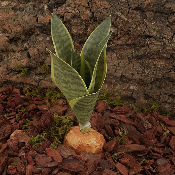 Fake Snake Plants Artificial Sansevieria, Reptile Terrarium Decor, Bearded Dragon Tank Accessories fit Crested Gecko Leopard Lizard Chameleon Ball Python Snake Frog