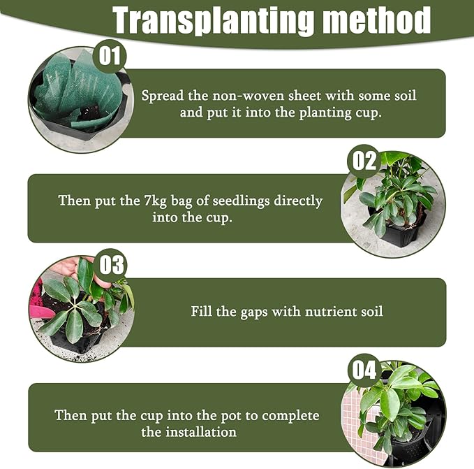 Self Watering Wall Planter with 3 Pots, Vertical Garden Planter for Indoor Plants, Mounted planters Hanging Flower Herbs Vegetables, Wall Garden for Home