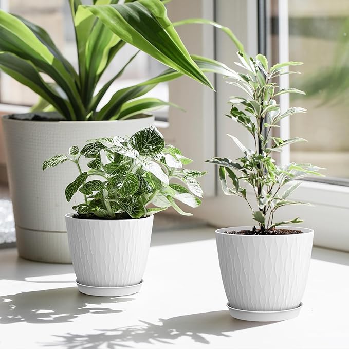 6 Inch Plant Pots, 6 Pack Flower Pots for Indoor and Outdoor Use, Planters with Drainage Holes and Saucers, White
