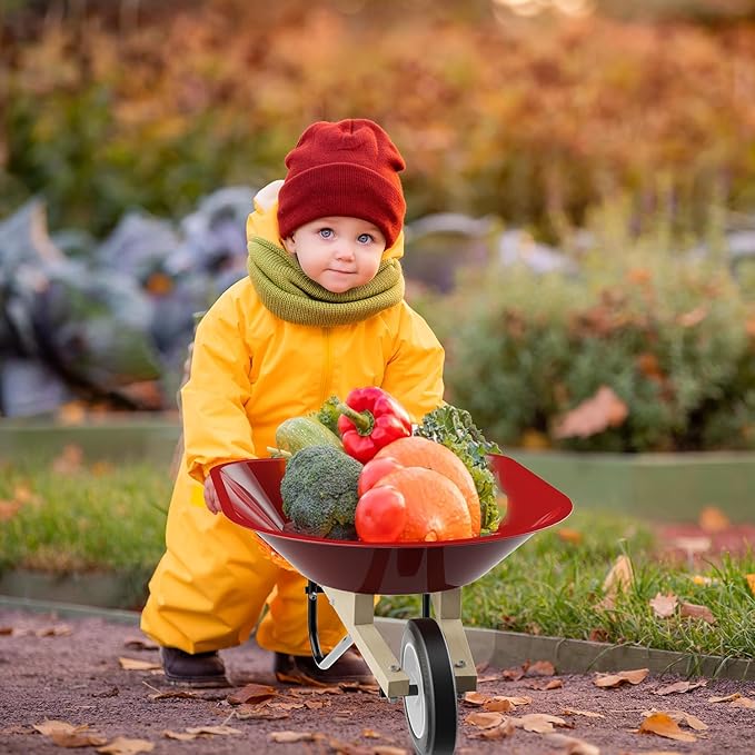 Kids Wheelbarrow Set with Gardening Tools Outdoor Backyard Garden Play for Toddlers Boys Girls 3-8, with Shovel, Rake, Leaf Rake, Easter Birthday Gifts (Wheelbarrow Red Color)