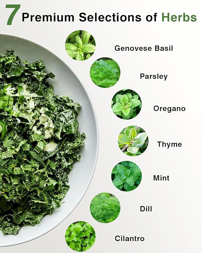 Gourmet Herbs Seed Pod Kit for AeroGarden, iDoo, Ahopegarden, MUFGA with Basil, Parsley, Thyme, Mint, Cilantro, Dill, Oregano - Compatible with All Hydroponics (12-Pod)