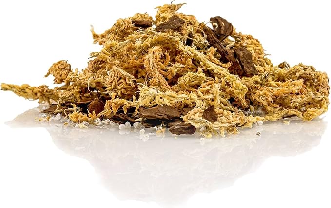 GARDENERA Premium Preserved Reindeer Moss for Potted Plants, Terrariums, Fairy Gardens, Arts and Crafts or Floral Decor Design in Natural (2 Quart Bag)
