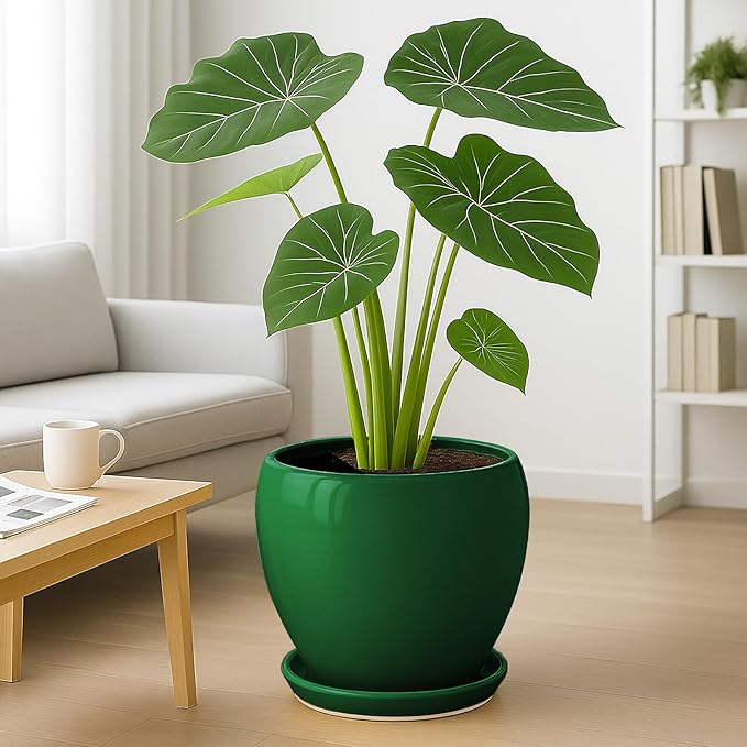 Deep Dream 10 Inch Plant Pot- Ceramic Planter Pot Round Plant Pots for Indoor Plants Outdoor Large Flower Pot with Drainage Holes & Trays, Green