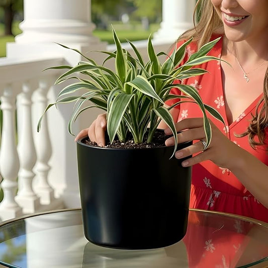 Willowy 9 Inch Black Ceramic Plant Pot with Drainage - 9 Inch Plant Pot for Indoor Plants, Flower Planter, Tall Modern Planter