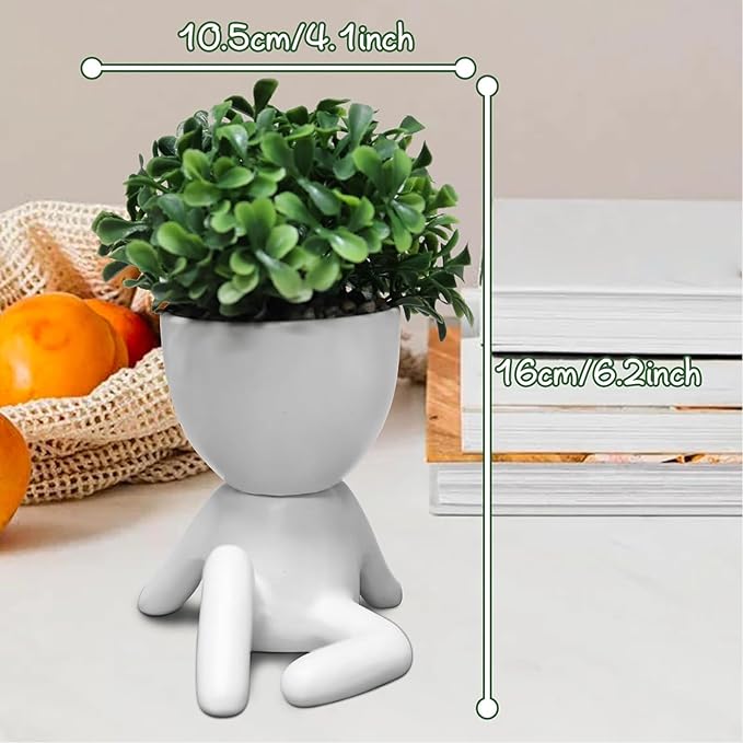 Zerzsy Desktop Plant for Women Office Decoration Fake Plant Succulents Plants Artificial for Home Bathroom Living Room Office Decor Small Fake Plants Decor for Bedroom and Bathroom - Set of 1