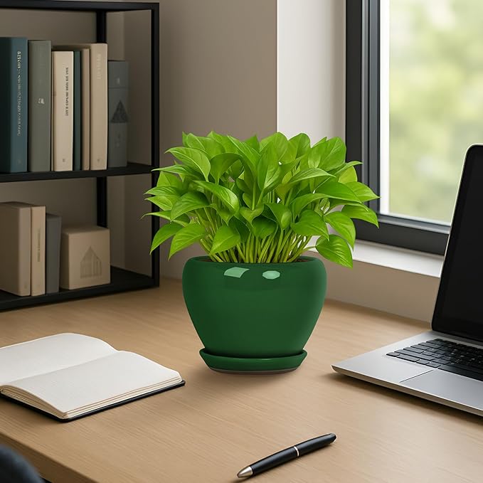 Deep Dream 6 Inch Plant Pots- Ceramic Planter Pot with Drainage Hole and Saucer, Round Flower Pot for Indoor Outdoor Succulent, Snake Plants and Cactus, Green