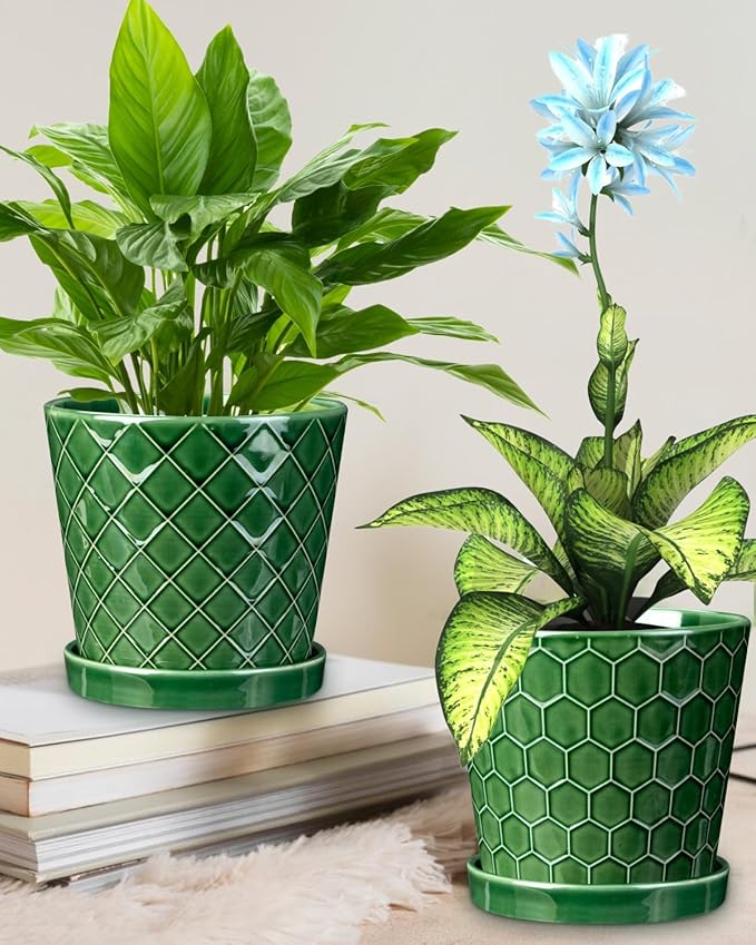 6 Inch Plant Pot,Ceramic Pots for Plants with Drainage,Flower Pots Indoor Pots for Plants, Modern Flower Pots for Home and Office,Set of 2 - Patina