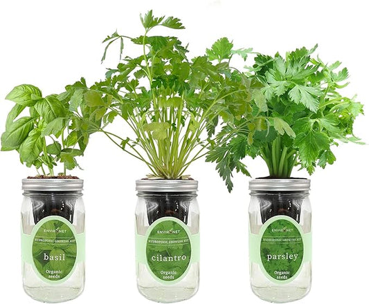 Hydroponic Herb Growing Kit Set, Self-Watering Mason Jar Herb Garden Starter Kit Indoor, Windowsill Herbs Garden, Grow Your Own Herbs from Organic Seeds (Basil, Cilantro and Parsley)