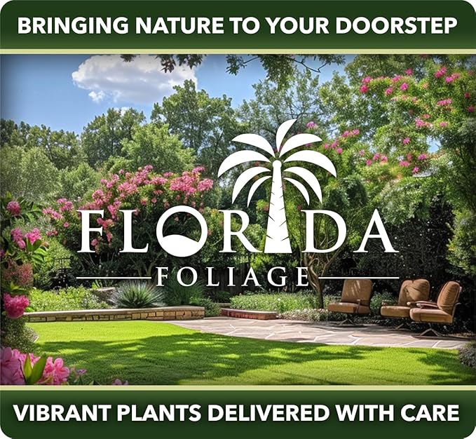 Royal Fern | 20 Live Plants | Osmunda regalis | Decorative Shade-Loving Perennial | Lush Green Foliage for Moist Gardens & Landscapes