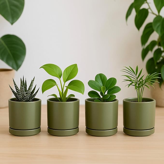 D'vine Dev Set of 2 Plants Pots, 3.5 Inch Ceramic Planter Pot for Plants with Drainage Hole and Saucer, Olive, 94-V-A-J