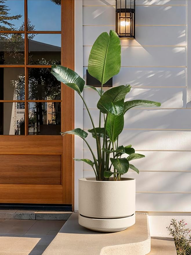 LE TAUCI Large 14 Inch Plant Pot with Saucer | Ceramic Outdoor & Indoor Big Planter Pot | Drainage Hole, Mesh Pad & Plug | Unglazed Porous | Modern Minimalist for Home and Patio – Speckled Oat