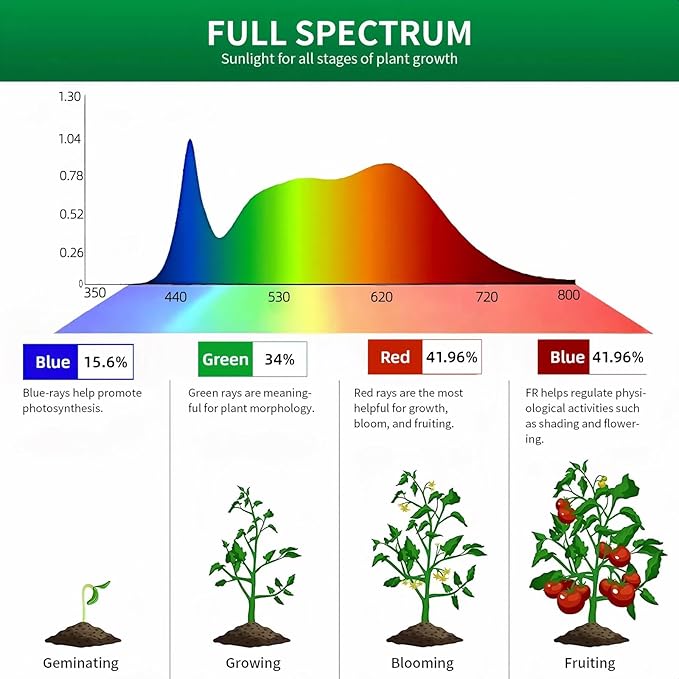 Table Top Grow Light for Indoor Plants – Decorative Desk Plant Light for Succulents Bonsai Cactus, Adjustable Desktop Grow Lights with Base, Cute Office Mini Grow Lamp