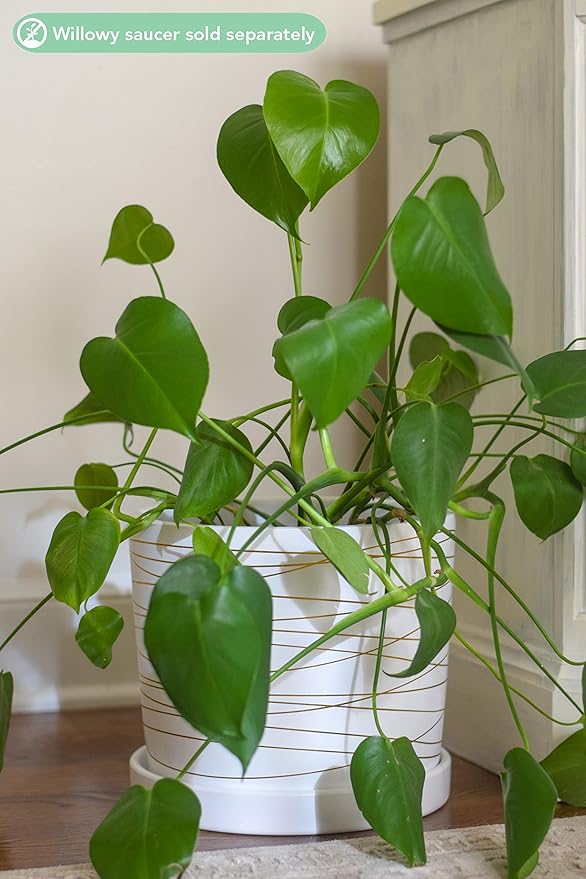 Willowy 12 Inch Ceramic Pot - Slightly Tapered Matte White with Metallic Gold Stripes - Drainage Plug Included