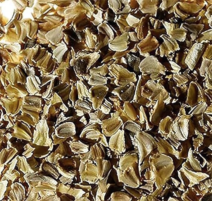 6000 Creeping Daisy Seeds - Annual, Full Sun Daisy