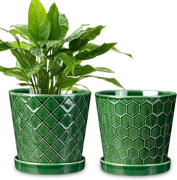6 Inch Plant Pot,Ceramic Pots for Plants with Drainage,Flower Pots Indoor Pots for Plants, Modern Flower Pots for Home and Office,Set of 2 - Patina