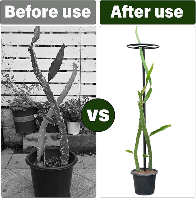 14"x14"x60" 1PCS Dragon Fruit Trellis - Durable Metal Vertical Support Frame for Climbing Plants, Easy Assembly with Instructions, for Dragon Fruit Enthusiasts