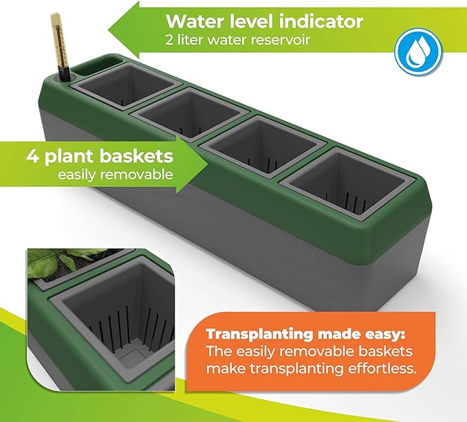 Bio Green Provence Self Watering Planters – 4-Herb Window Boxes Planters with Water Level Indicator – Windowsill Planter – Modern Pot Design – Practical and Easy to Use, Grey, Dark Green (PRO-4)