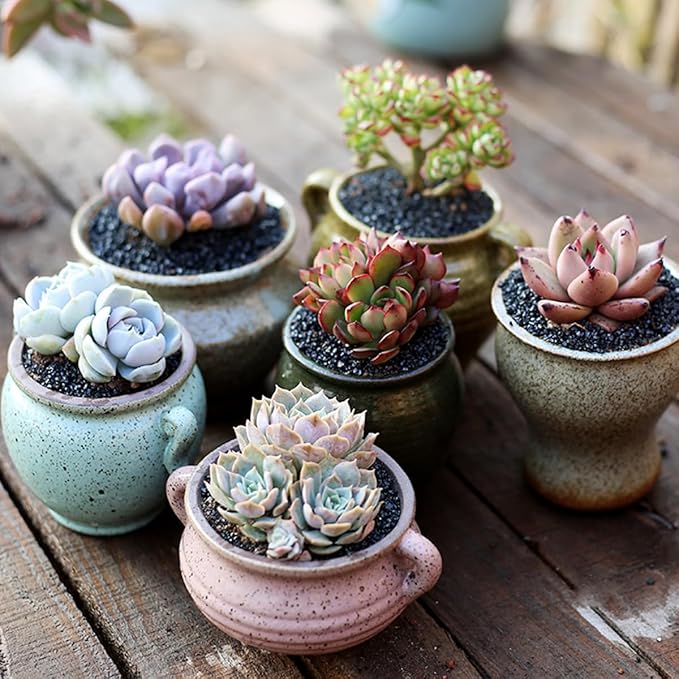 TOYPOPOR 6lb Succulents and Cactus Black Sand, Décor & Additive Tiny Stones, DIY Rocks Gravel, Decorative Pebbles for Bonsai, Fairy Gardening, Terrarium, Vases Fillers, Top Dressing