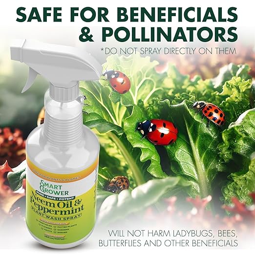 Neem Oil & Peppermint Plant Wash – Natural Leaf Cleaner & Conditioner for Indoor & Outdoor Plants – 32oz Ready-to-Use Spray