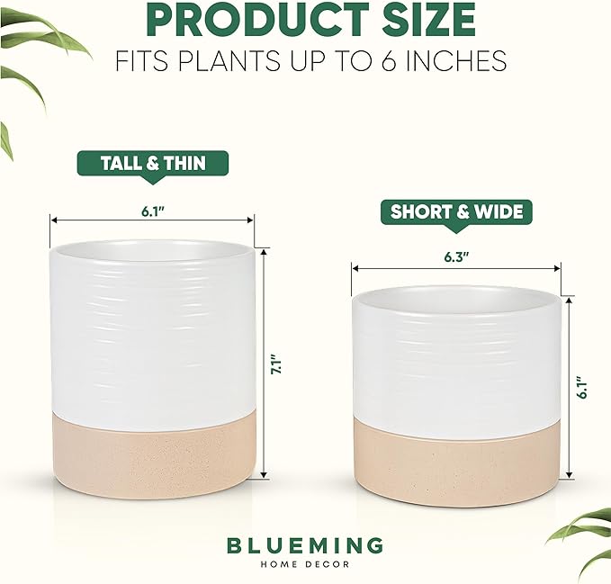 Self Watering Ceramic Plant Pots – 6 Inch White Planter with Drainage Hole & Water Storage for Succulents & Modern Indoor House Plants (White & Beige, 6" Wide)