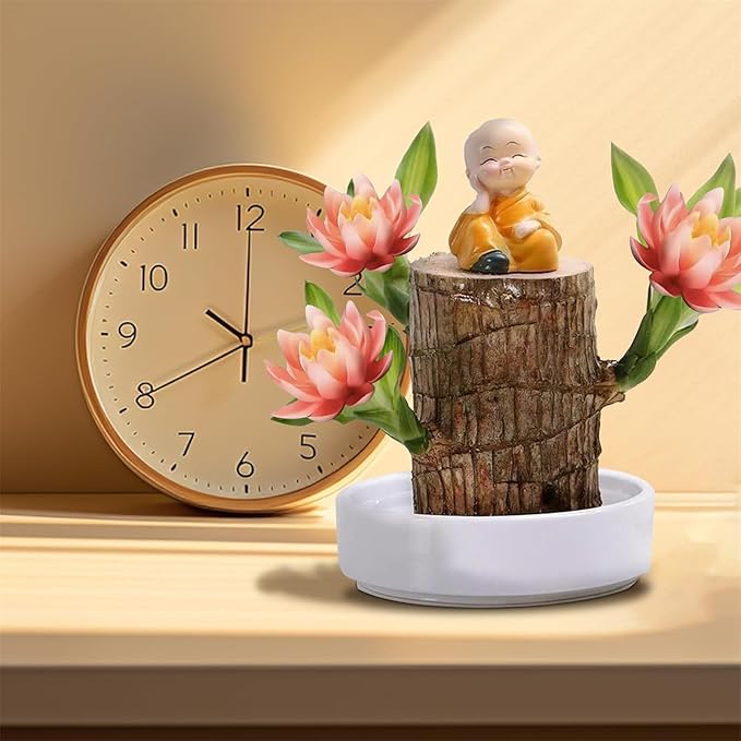 Brazilian Lucky Wood Kit with Monk, Grow Your Own Luck,Easy to Maintain Mini Brazil Woods for Indoor/Outdoor, Bedroom, Kitchen, Office Desk, Garden and Other Decorations (5D)