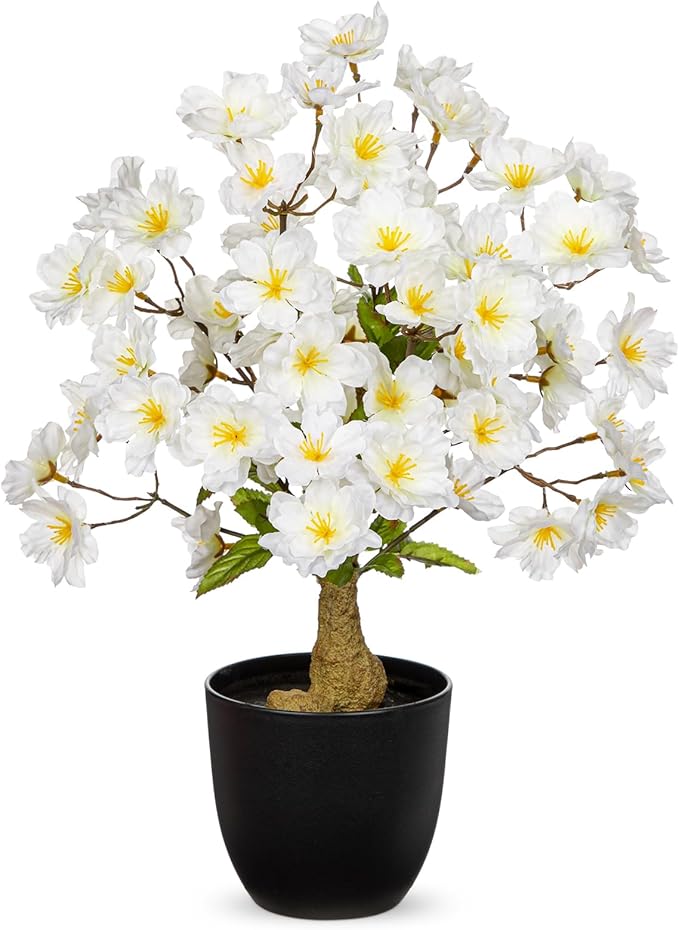 DILATATA Faux Cherry Blossom Bonsai Tree 16 inch Small Artificial Bonsai Tree for Home Decor White Apple Blossom Tree for Indoor Bookshelf Office Desk Bathroom Decor