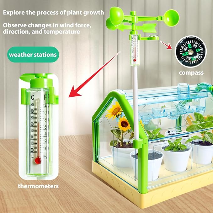 Kids Gardening Greenhouse Growing Kit with Weather Observation Kids Terrarium kit Science Educational DIY Indoor Plant Toy