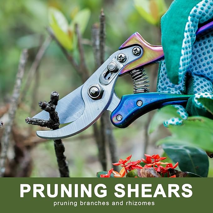 Rainbow Gardening Tool Set, Trowel, Pruning Shears, and Hand Fork (3-Pack)