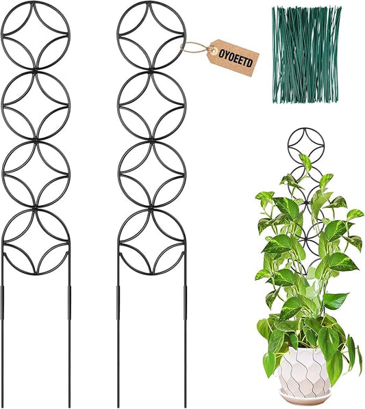 24Inch Outdoor Plant Trellis for Climbing Plants,Metal Garden Trellis for Potted Plants,Plant Stakes for Indoor Plants Accessories Hoya,Flower,Plant Support,Plant Gifts (24IN-Coin)