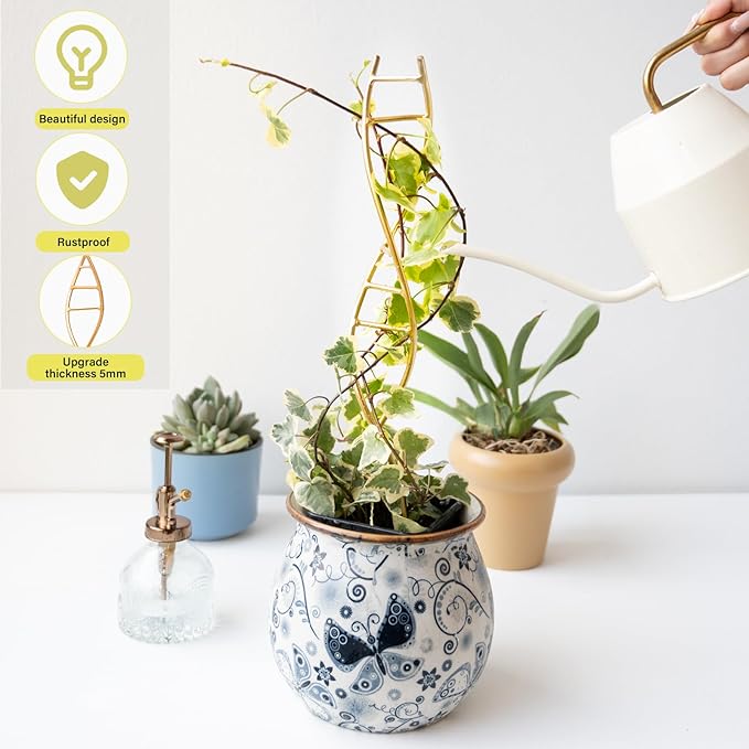 3PCS DNA Plant Trellis Indoor and Outdoor - Lightweight Metal Trellis for Potted Plants, Hoya & Pothos Climbing Support, Artistic Geometric Design, Durable & Easy Installation