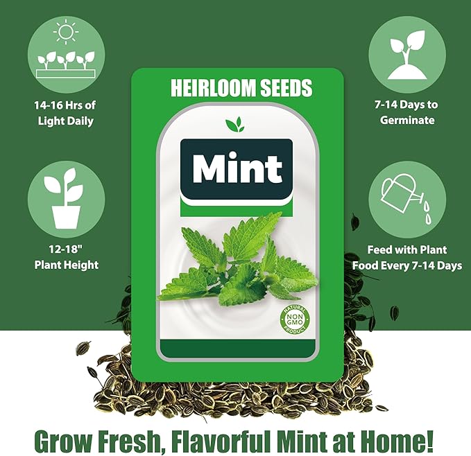 Mint Seed Pods for All Hydroponics Growing Systems, 12 Pods Herb Kit with Seeds of Peppermint, Grow Your Own Herb Garden at Home