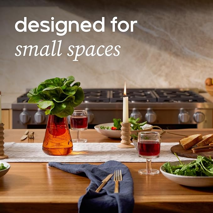 Counterstand Set – Vase Plant for Indoor Edible Garden Kit for Herbs & Lettuce – Small-Space Hydroponic System – Home Decor & Gifting – No Glow Lamp