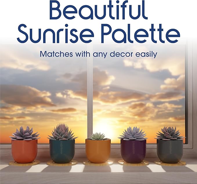 Mini Succulent Plant Pots – 2.5" Ceramic Planters with Bamboo Coasters, Set of 5 | Small Indoor Pot Set, Sunrise Color Theme, Drainage Hole, Decorative Gift Box