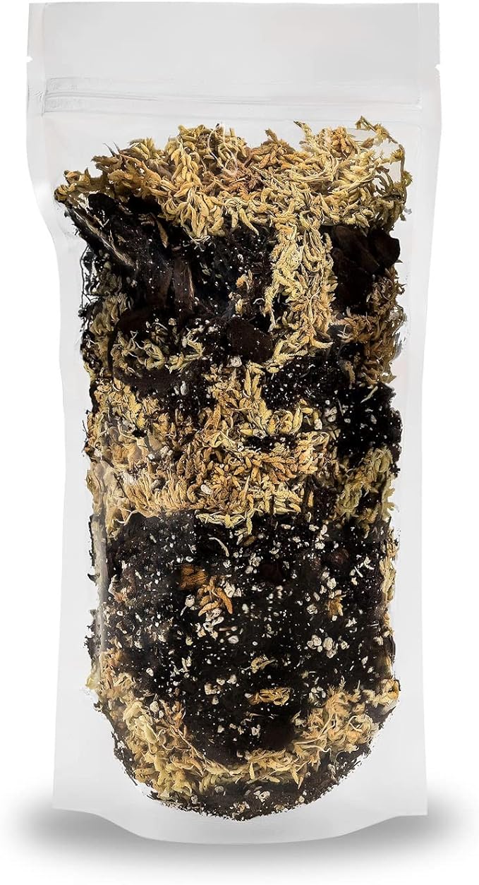 Gardenera Premium Orchid Mix by GARDENERA | Fern + New Zealand Pine Bark + Sphagnum Moss + Perlite | Best for Growing and Repotting Orchids - 1 Quart Bag