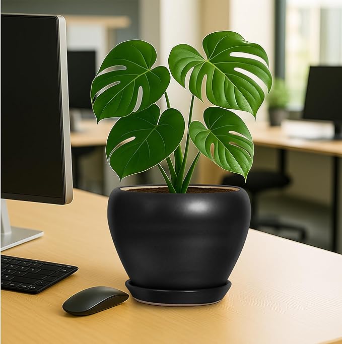 Deep Dream 8 Inch Plant Pot - Ceramic Pots for Plants with Drainage Hole and Trays, Modern Round Flower Pot, Planters for Indoor Outdoor Plants, Home Garden Decor, Black