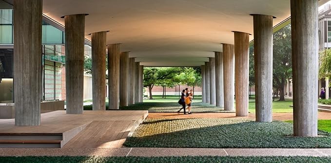 Dwarf Mondo Grass | 72 Live Plants | Ophiopogon Japonicus Nanus | Shade Loving Evergreen Ground Cover