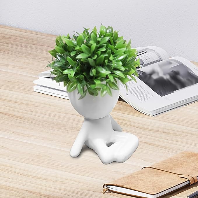 Zerzsy Mini Succulent Plant - Plants Gift - Cute Office Decor for Women - Office Decorations for Work DeskWomen - Desk Plants Decorations for Shelf- Set of 1