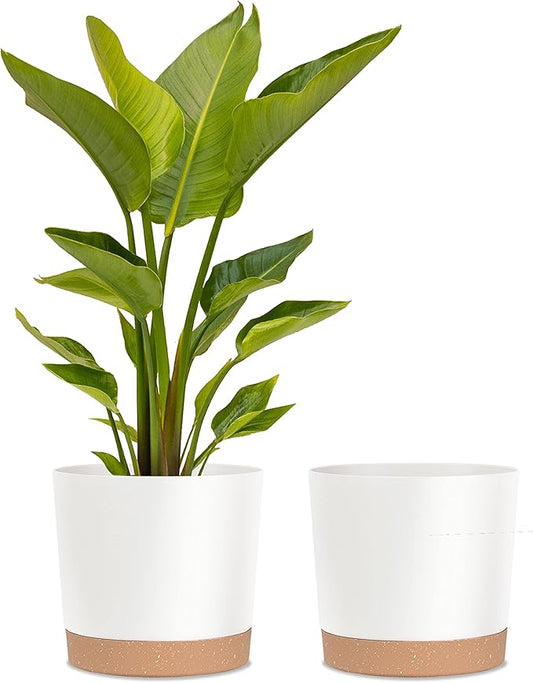 kubvici Plant Pots for Indoor Plants, 2 Pack 12 Inch Pots for Plants, Lightweight Large White Planters for Indoor Outdoor, Big Plastic Plant Pot Flower Pot with Drainage (12” White)