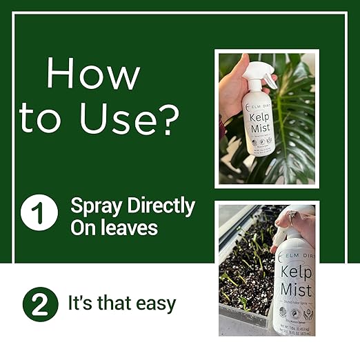 Elm Dirt Kelp Mist 100% Organic Plant Spray - Foliar Spray for Plants Food Indoor House Plants & Outdoor Plant Food | Help Plant Nutrients Efficiently & Boost Soil Activity - Kelp Foliar Mist (16 oz)