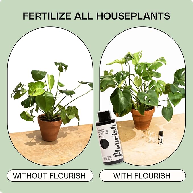 Flourish Plant Organic All-Purpose Plant Food 3-3-2 Fertilizer for Indoor Plants - CDFA Certified, Easy Application, 3-3-2 NPK, Eco-Friendly, EA 1.69 fl oz USA Made