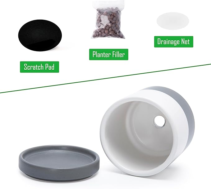 D'vine Dev Set of 2 Plants Pots, 3.5 Inch Ceramic Planter Pot for Plants with Drainage Hole and Saucer, White/Speckled Grey, 94-V-A-6