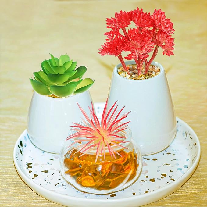 Artificial Succulent Plants, 6pcs Mini Fake Succulents Plants for DIY Crafting Home Wall Office Decoration (excluding pots)